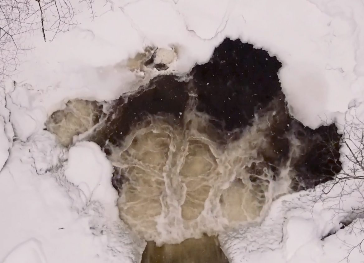 Moorland Elegies - 5